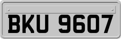BKU9607