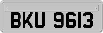 BKU9613