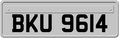 BKU9614