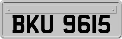 BKU9615