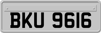 BKU9616
