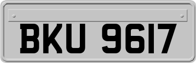 BKU9617