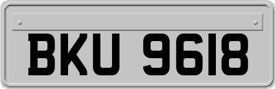 BKU9618