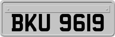 BKU9619
