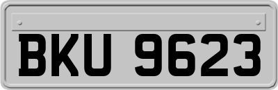 BKU9623