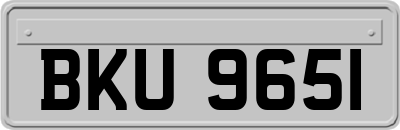 BKU9651