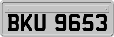BKU9653