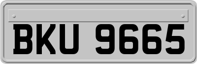 BKU9665