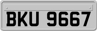 BKU9667