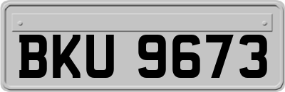 BKU9673