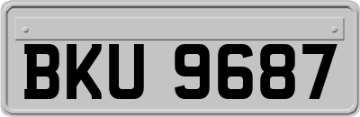BKU9687