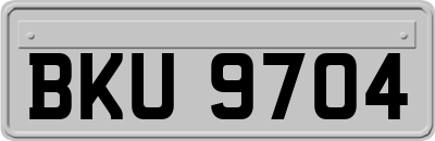 BKU9704