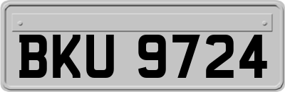 BKU9724