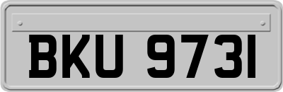 BKU9731