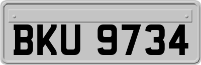 BKU9734