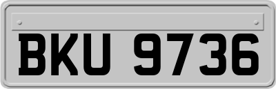 BKU9736