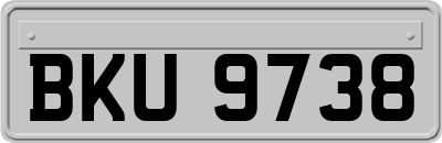 BKU9738