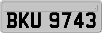 BKU9743