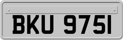 BKU9751