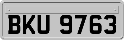 BKU9763