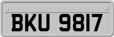 BKU9817