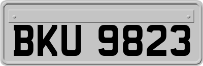 BKU9823