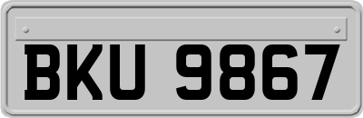 BKU9867