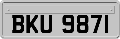 BKU9871