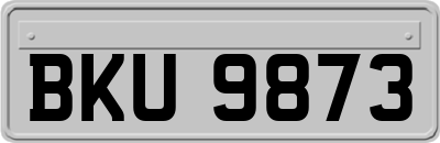 BKU9873