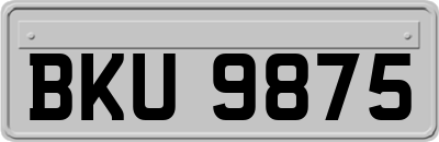 BKU9875