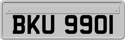 BKU9901