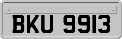BKU9913