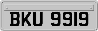BKU9919