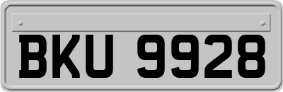 BKU9928