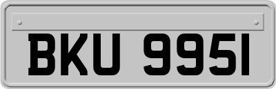 BKU9951