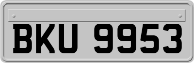 BKU9953
