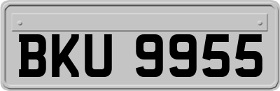 BKU9955
