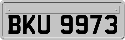 BKU9973