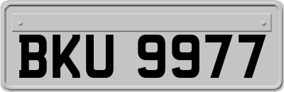 BKU9977
