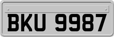 BKU9987