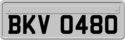 BKV0480