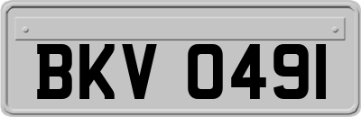 BKV0491