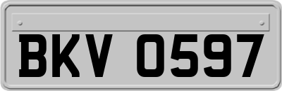 BKV0597