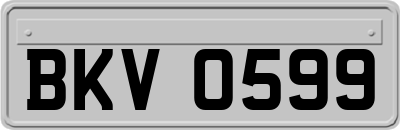 BKV0599