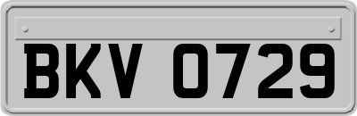 BKV0729