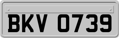 BKV0739
