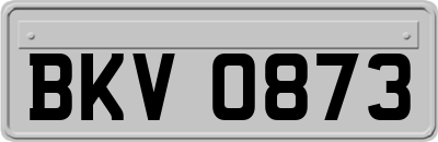 BKV0873