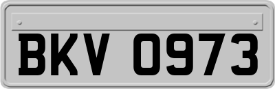 BKV0973