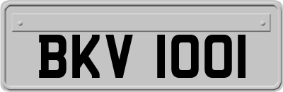 BKV1001