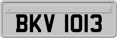 BKV1013